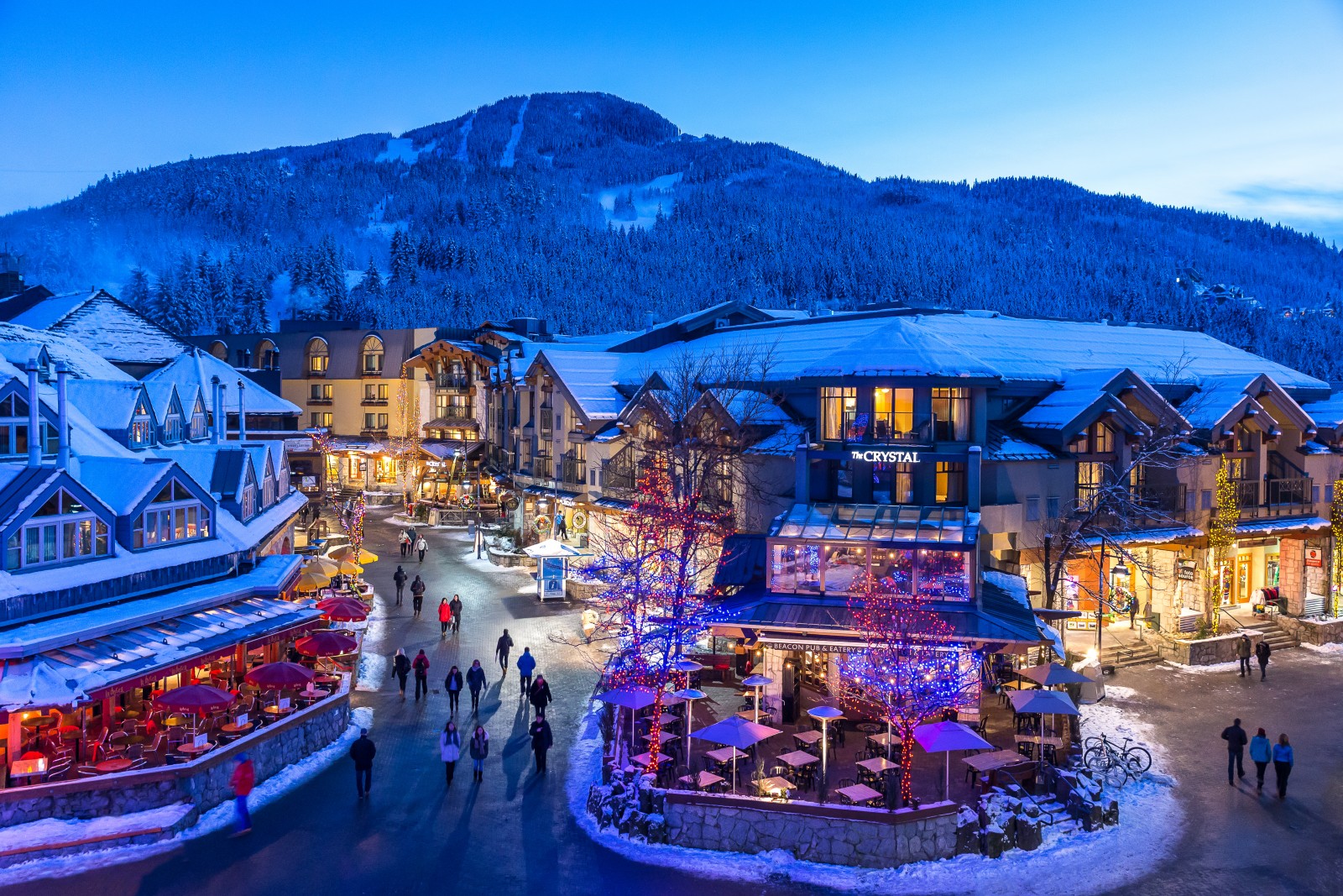 ski trips to whistler